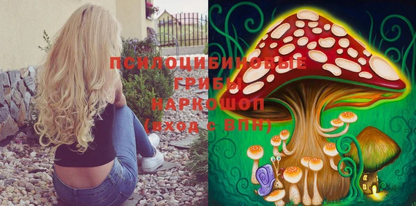 mix Инта