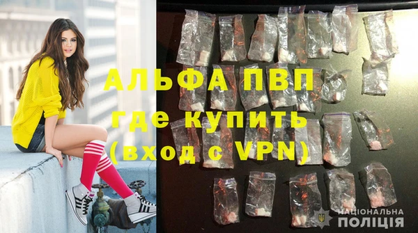 mix Инта