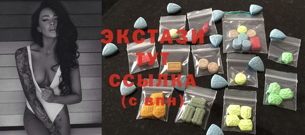 mix Инта
